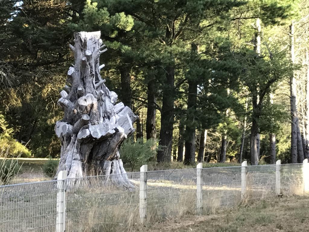 Helen'S Homestead Enfield 外观 照片