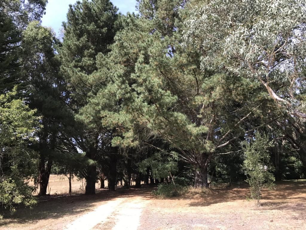Helen'S Homestead Enfield 外观 照片