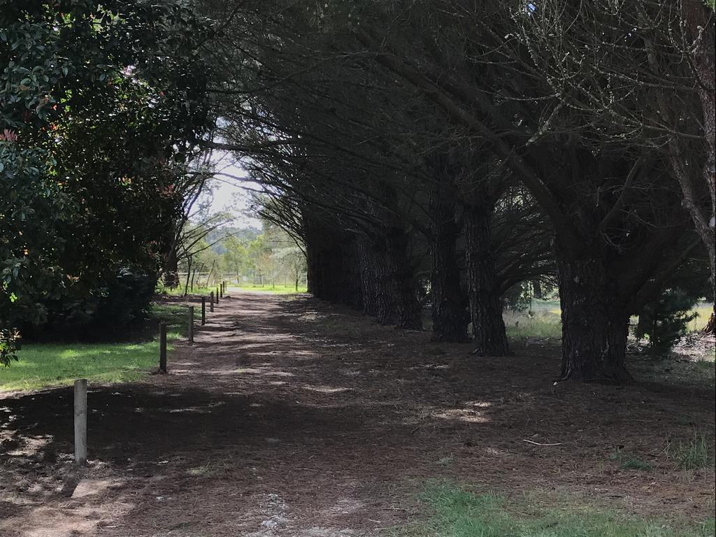 Helen'S Homestead Enfield 外观 照片
